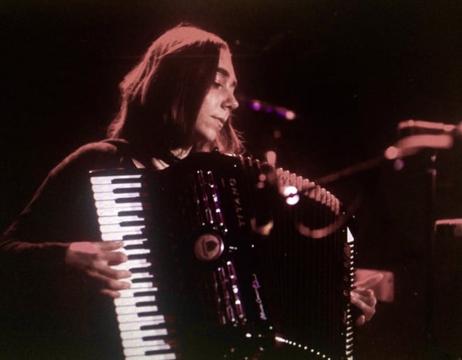 Gallery photo 2 of Danielle Renzi - Accordionist