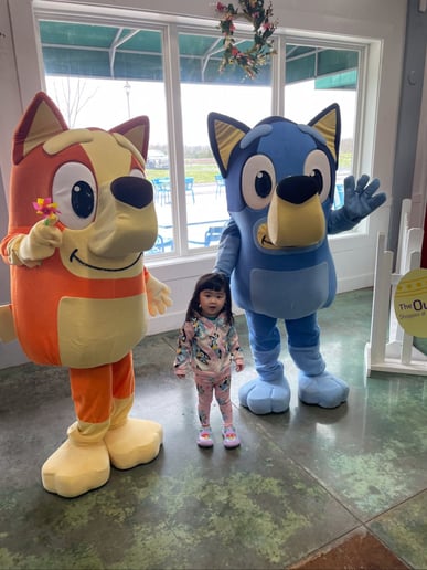 Gallery photo 3 of Adventure In Fun, LLC