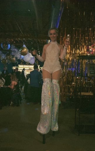 Gallery photo 2 of Circus - Aerialist & Cyr Wheel