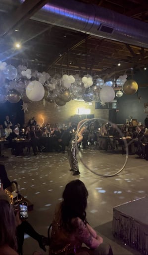 Gallery photo 3 of Circus - Aerialist & Cyr Wheel