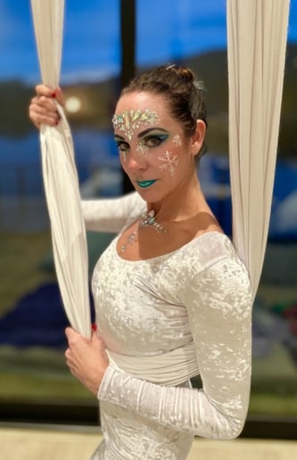 Gallery photo 1 of Aerialist