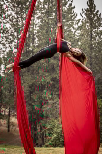 Gallery photo 2 of Aerialist