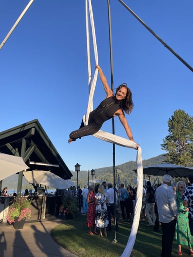 Gallery photo 3 of Aerialist