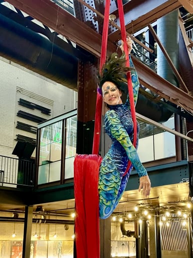 Gallery photo 5 of Aerialist