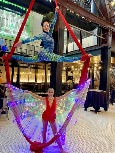 Gallery photo 6 of Aerialist