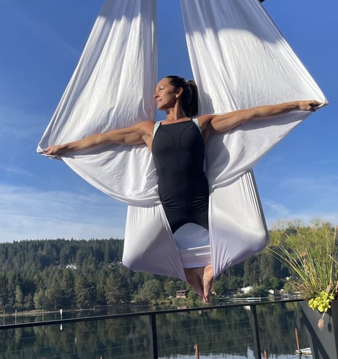 Gallery photo 7 of Aerialist