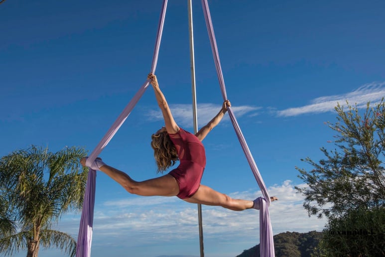 Gallery photo 8 of Aerialist