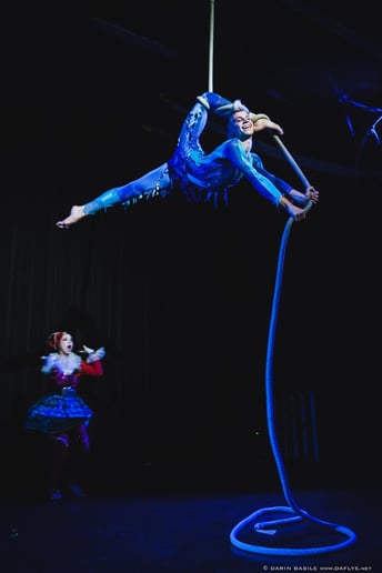 Gallery photo 4 of Alchemy Acro