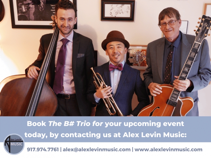 Gallery photo 8 of Alex Levin Music - Live Entertainment for Events