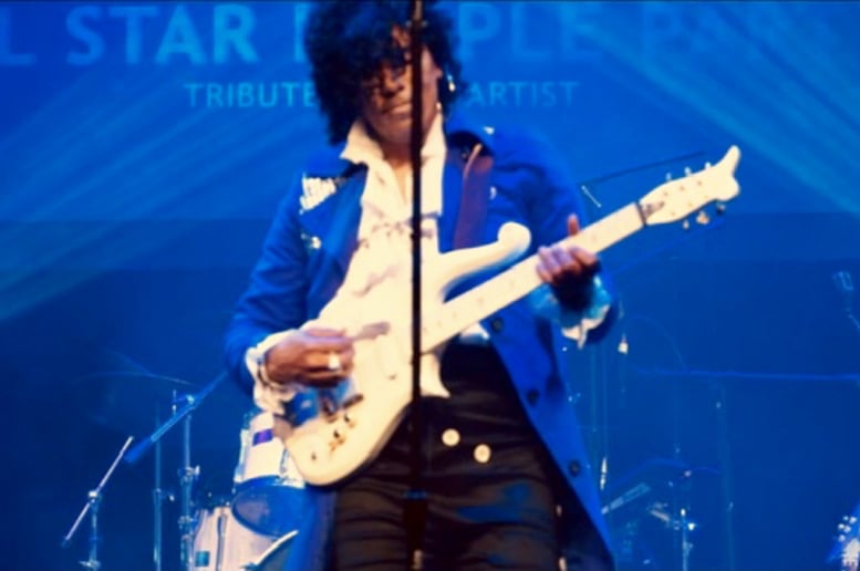 Gallery photo 9 of All Star Purple Party