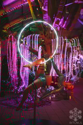 Gallery photo 3 of Allie PyroCat