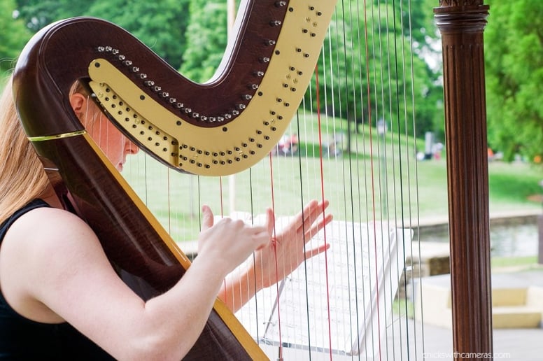 Gallery photo 1 of Andrea Mumm, Harpist