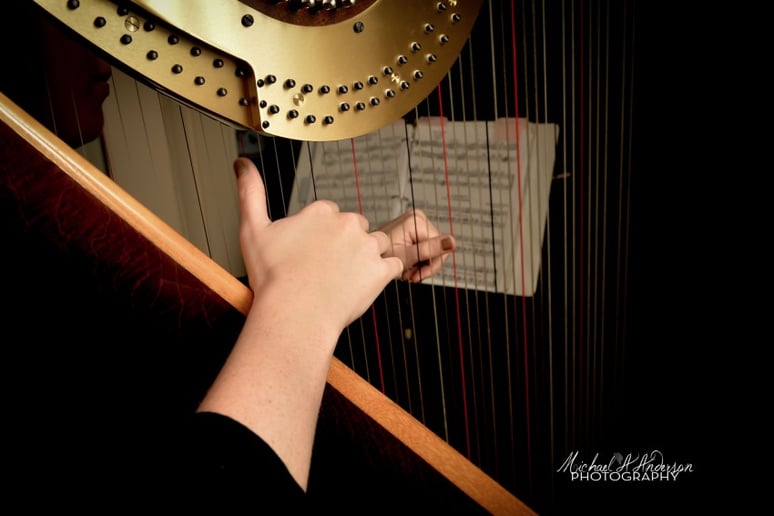 Gallery photo 5 of Andrea Mumm, Harpist