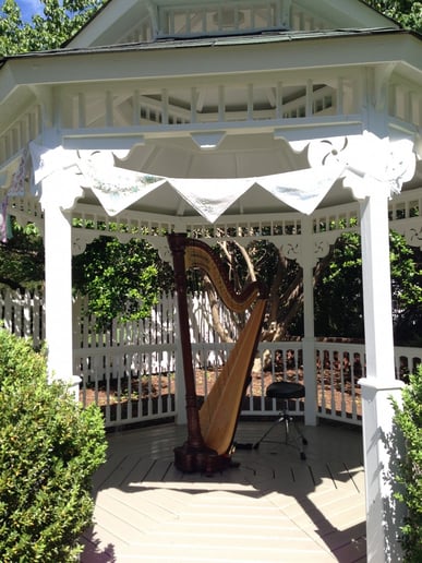 Gallery photo 8 of Andrea Mumm, Harpist