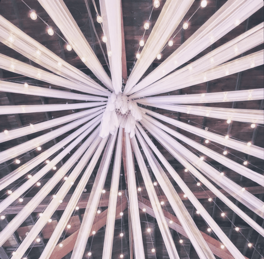 Gallery photo 7 of Andy's Serving Staff