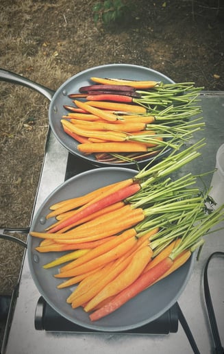 Gallery photo 6 of Andy's Serving Staff