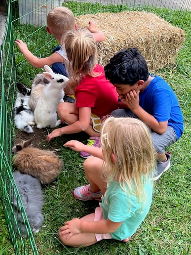 Gallery photo 3 of Animals Unlimited 501(c)(3) Non-Profit Organization