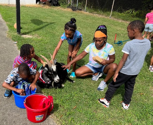 Gallery photo 6 of Animals Unlimited 501(c)(3) Non-Profit Organization