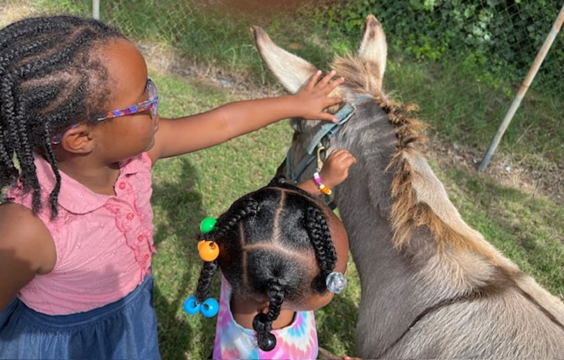 Gallery photo 7 of Animals Unlimited 501(c)(3) Non-Profit Organization