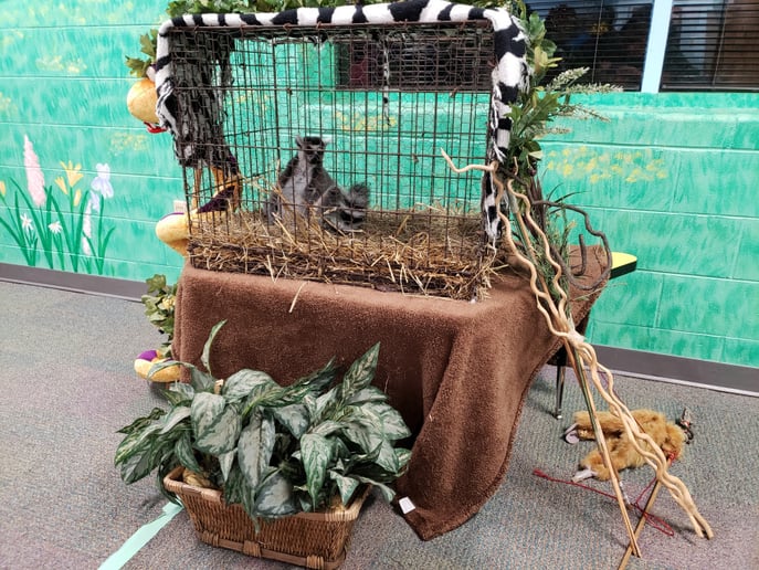 Gallery photo 9 of Animals Unlimited 501(c)(3) Non-Profit Organization