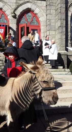 Gallery photo 10 of Animals Unlimited 501(c)(3) Non-Profit Organization