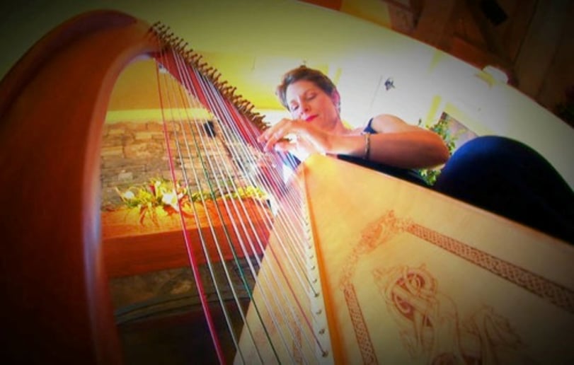 Gallery photo 18 of Celtic Harp Music by Anne Roos