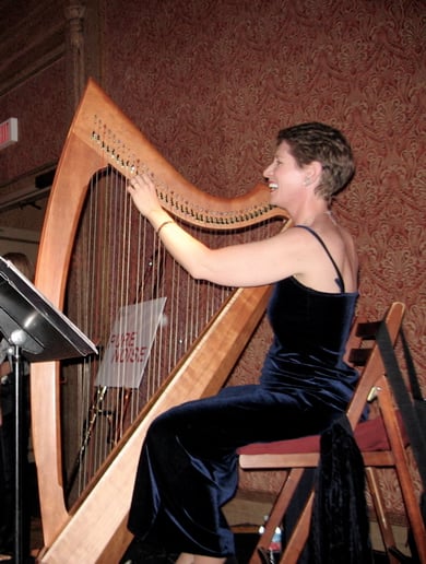 Gallery photo 5 of Celtic Harp Music by Anne Roos