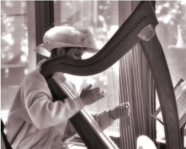 Gallery photo 6 of Celtic Harp Music by Anne Roos