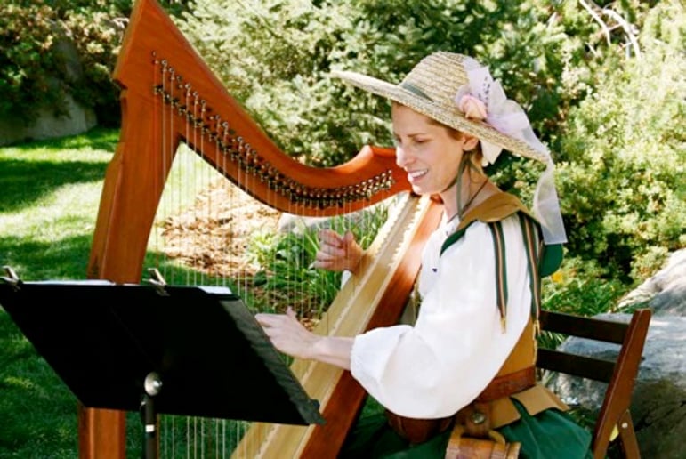 Gallery photo 15 of Celtic Harp Music by Anne Roos