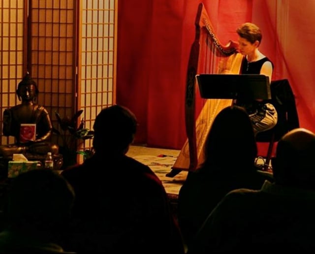 Gallery photo 11 of Celtic Harp Music by Anne Roos