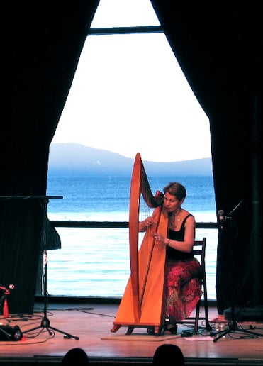 Gallery photo 20 of Celtic Harp Music by Anne Roos