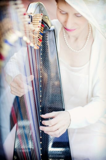 Gallery photo 4 of Celtic Harp Music by Anne Roos