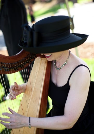 Gallery photo 17 of Celtic Harp Music by Anne Roos