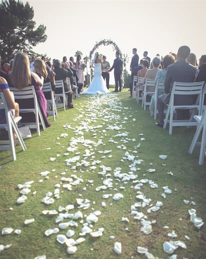 Gallery photo 7 of Antidote Theory Video & Photography Services