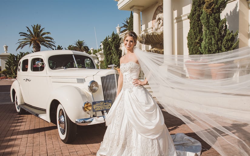 Gallery photo 4 of Antidote Theory Video & Photography Services