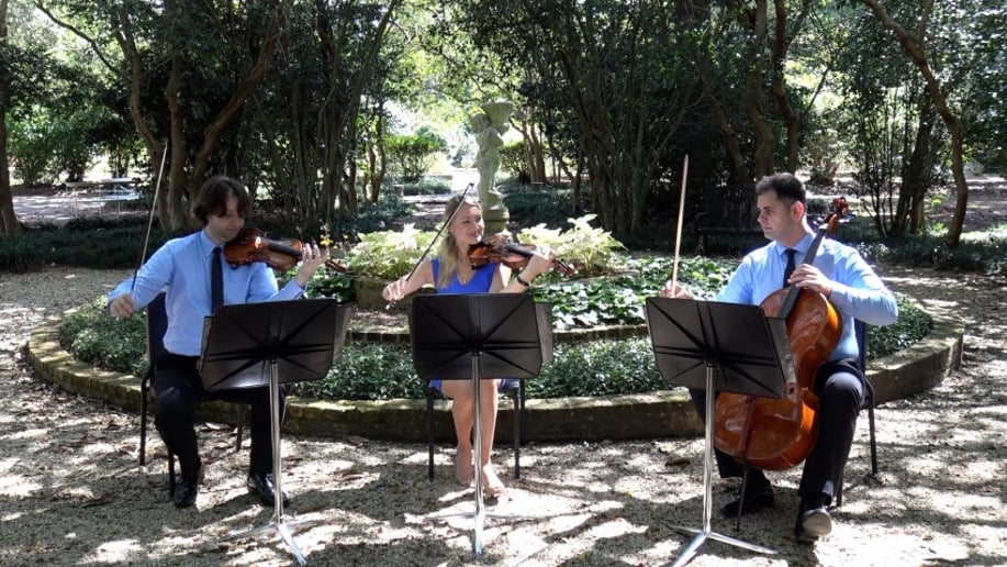 Gallery photo 3 of Arco Music 