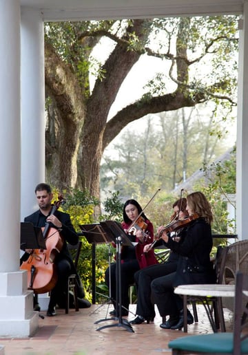 Gallery photo 5 of Arco Music 