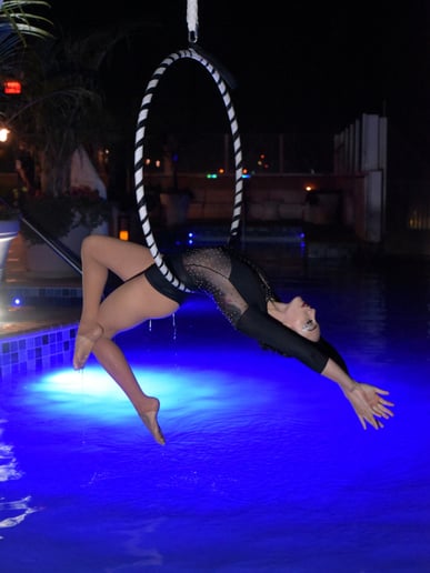 Gallery photo 9 of Visual Artistry Entertainment