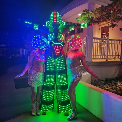 Gallery photo 1 of Visual Artistry Entertainment