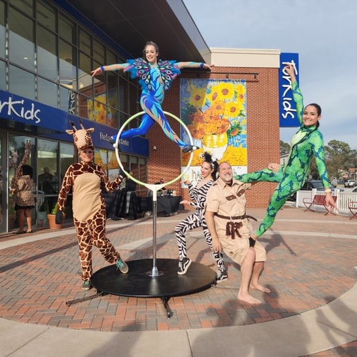 Gallery photo 7 of Visual Artistry Entertainment