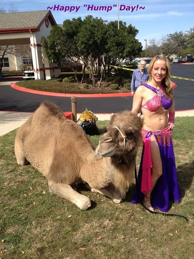 Gallery photo 5 of Belly Diva SATX