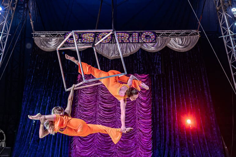 Gallery photo 14 of Bendy Bodies