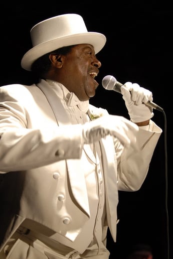 Gallery photo 6 of The Jake and Elwood Blues Revue