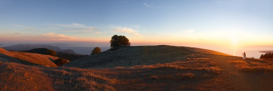 Gallery photo 5 of Brian Byllesby Photography