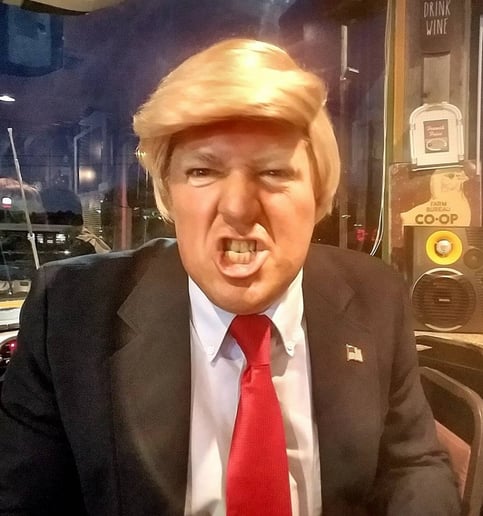 Gallery photo 37 of MJ Trump