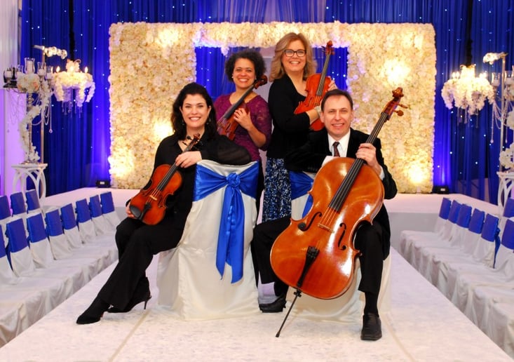 Gallery photo 6 of Brass String Chamber Ensemble