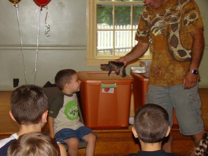 Gallery photo 6 of Bwana Iguana Reptile Adventure