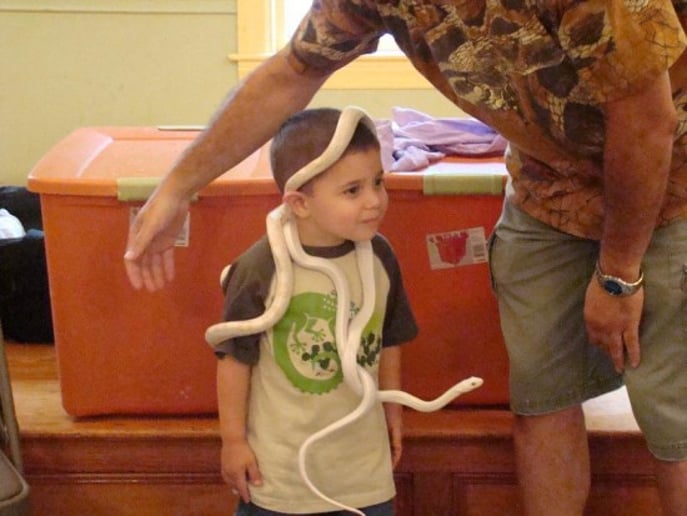 Gallery photo 7 of Bwana Iguana Reptile Adventure