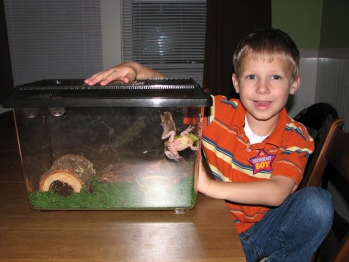 Gallery photo 12 of Bwana Iguana Reptile Adventure