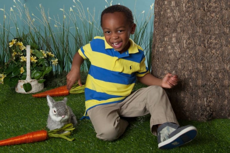 Gallery photo 3 of C L Reeves  Photography